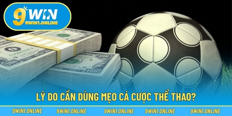Mẹo Cược Thể Thao – Chiến Thuật Tối Ưu Dành Cho Người Chơi 2 Lý do cần dùng mẹo cá cược thể thao?